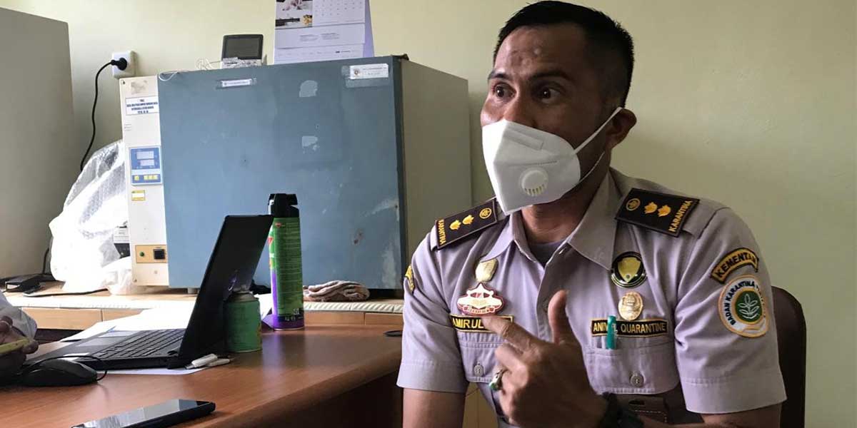 Kasubsi Pelayanan dan Operasional Karantina Pertanian Timika, drh Amirullah